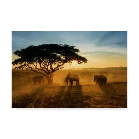 Trademark Fine Art Saravut Whanset 'Morning Elephant Home Town' Canvas Art, 22x32 1X07861-C2232GG